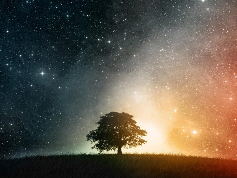 Bestellung beim Universum – Wie Deine Wünsche in Erfüllung gehen Bestellung beim Universum – Wie Deine Wünsche in Erfüllung gehen